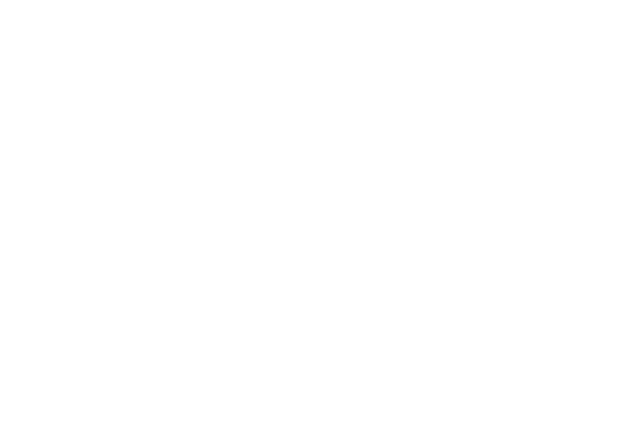 519大会